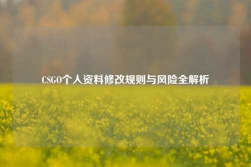 CSGO个人资料修改规则与风险全解析