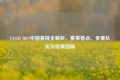CS:GO 2021中国赛程全解析，赛事看点、参赛队伍及结果回顾