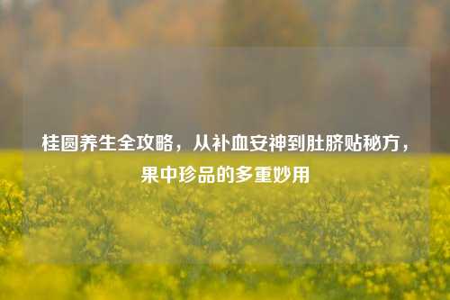 桂圆养生全攻略,从补血安神到肚脐贴秘方,果中珍品的多重妙用