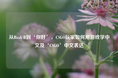 从Rush B到‘你好’，CSGO玩家如何用游戏学中文及‘CSGO’中文表达