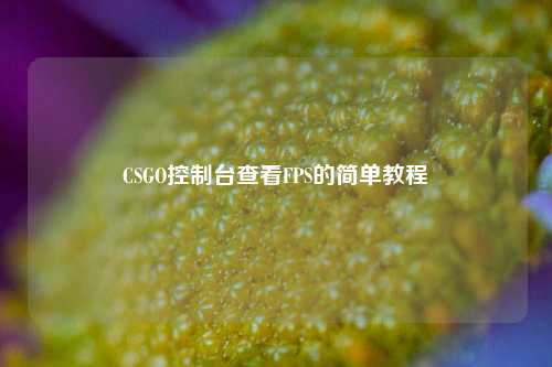 CSGO控制台查看FPS的简单教程