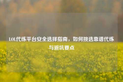 LOL代练平台安全选择指南,如何挑选靠谱代练与避坑要点