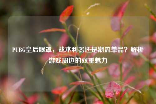 PUBG皇后眼罩，战术利器还是潮流单品？解析游戏周边的双重魅力