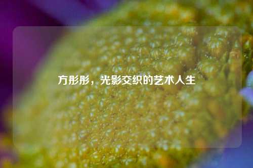方彤彤,光影交织的艺术人生