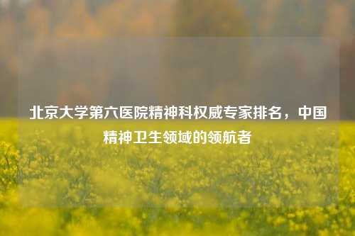 北京大学第六医院精神科权威专家排名,中国精神卫生领域的领航者