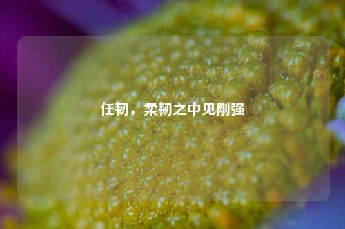 任韧，柔韧之中见刚强