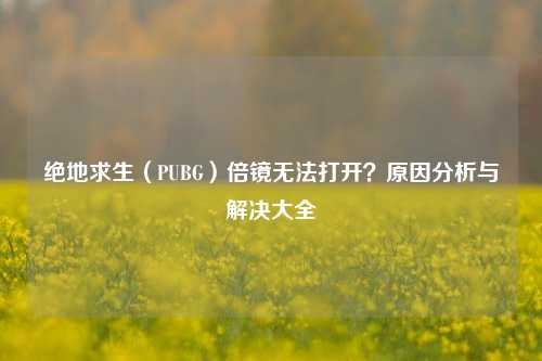 绝地求生（PUBG）倍镜无法打开？原因分析与解决大全
