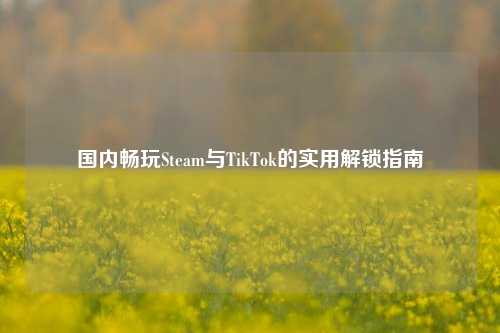 国内畅玩Steam与TikTok的实用解锁指南