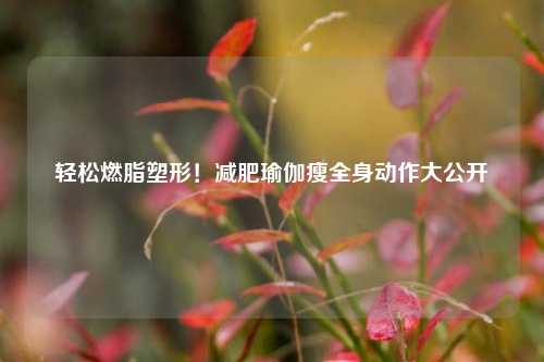 轻松燃脂塑形!减肥瑜伽瘦全身动作大公开