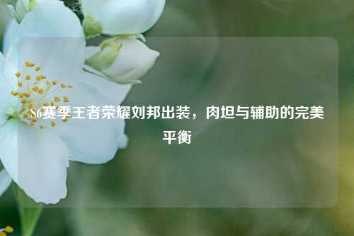 S6赛季王者荣耀刘邦出装，肉坦与辅助的完美平衡