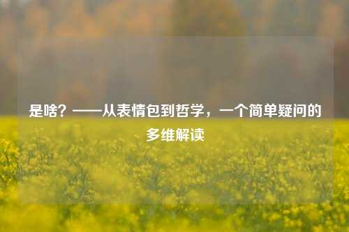 是啥?——从表情包到哲学,一个简单疑问的多维解读