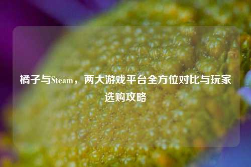 橘子与Steam，两大游戏平台全方位对比与玩家选购攻略