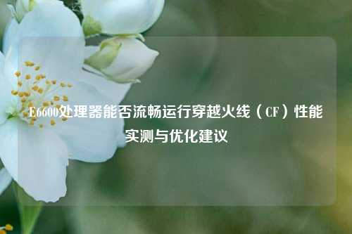 E6600处理器能否流畅运行穿越火线（CF）性能实测与优化建议