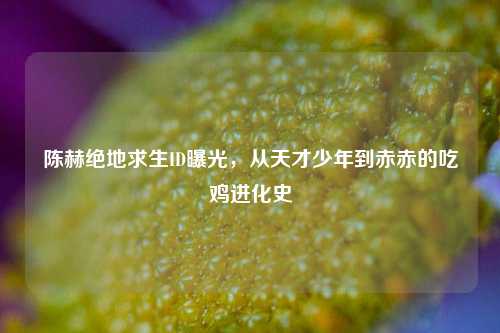 陈赫绝地求生ID曝光，从天才少年到赤赤的吃鸡进化史