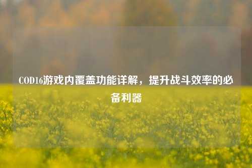 COD16游戏内覆盖功能详解，提升战斗效率的必备利器