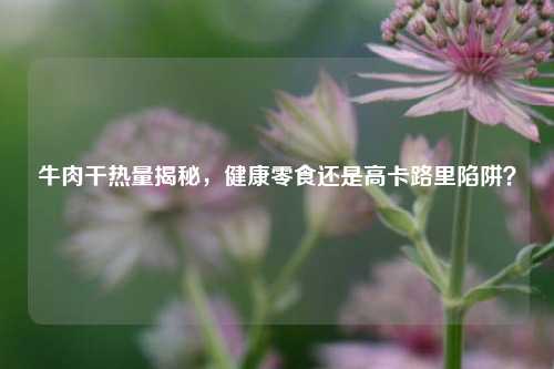 牛肉干热量揭秘,健康零食还是高卡路里陷阱?