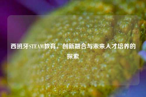 西班牙STEAM教育，创新融合与未来人才培养的探索