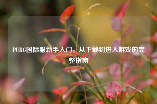 PUBG国际服新手入门,从下载到进入游戏的完整指南