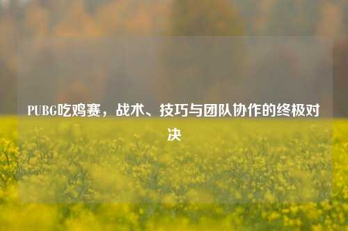 PUBG吃鸡赛，战术、技巧与团队协作的终极对决