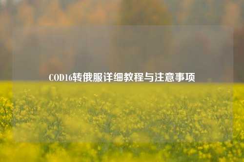 COD16转俄服详细教程与注意事项
