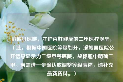 澄城县医院，守护百姓健康的二甲医疗堡垒，（注，根据中国医院等级划分，澄城县医院公开信息显示为二级甲等医院，故标题中明确二甲。若需进一步确认或调整等级表述，请补充最新资料。）