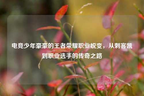 电竞少年豪豪的王者荣耀职业蜕变，从刺客凯到职业选手的传奇之路