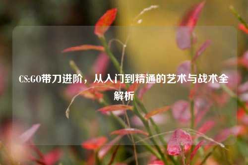 CS:GO带刀进阶，从入门到精通的艺术与战术全解析