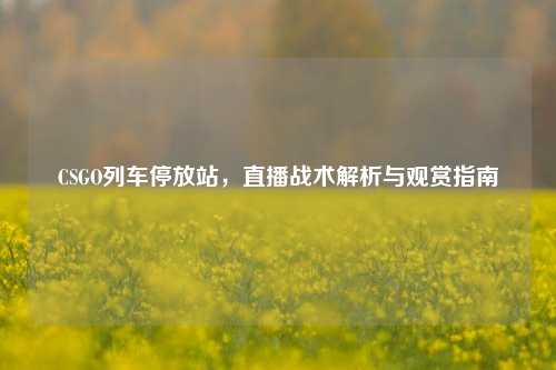 CSGO列车停放站,直播战术解析与观赏指南