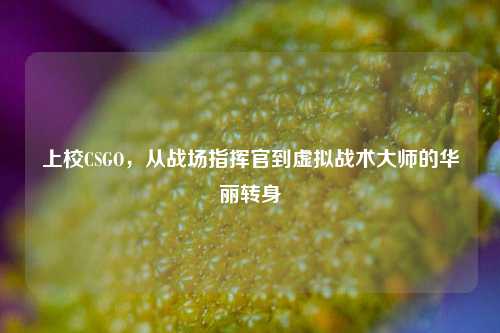 上校CSGO，从战场指挥官到虚拟战术大师的华丽转身