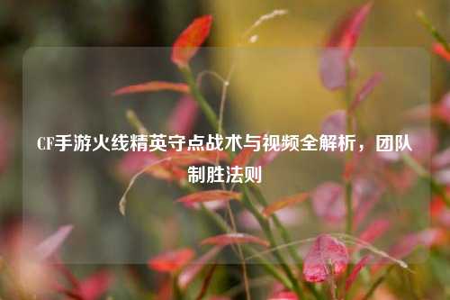 CF手游火线精英守点战术与视频全解析,团队制胜法则