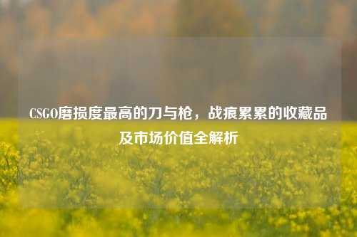 CSGO磨损度最高的刀与枪，战痕累累的收藏品及市场价值全解析