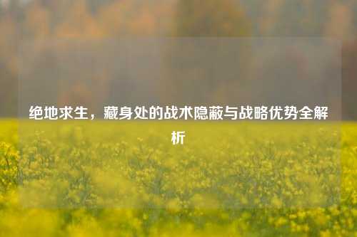 绝地求生，藏身处的战术隐蔽与战略优势全解析