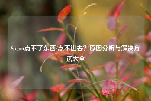 Steam点不了东西/点不进去？原因分析与解决方法大全