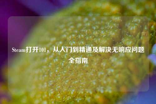Steam打开101，从入门到精通及解决无响应问题全指南
