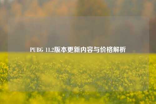 PUBG 11.2版本更新内容与价格解析