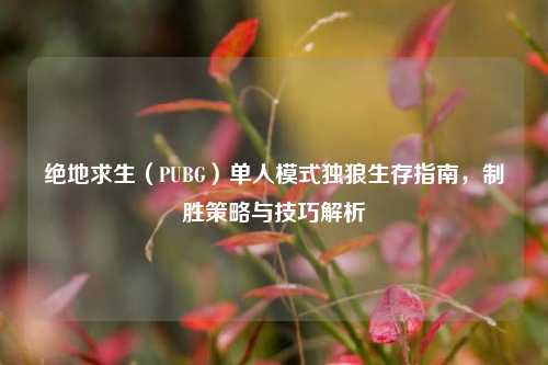 绝地求生（PUBG）单人模式独狼生存指南，制胜策略与技巧解析