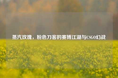 蒸汽玫瑰,粉色刀客的赛博江湖与CSGO幻战