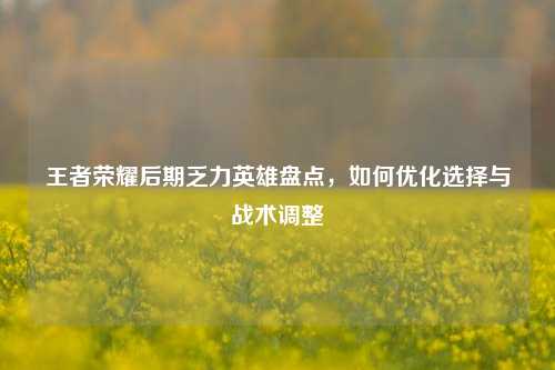 王者荣耀后期乏力英雄盘点,如何优化选择与战术调整