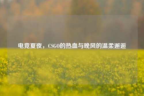 电竞夏夜，CSGO的热血与晚风的温柔邂逅