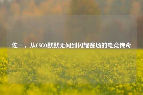 佐一，从CSGO默默无闻到闪耀赛场的电竞传奇