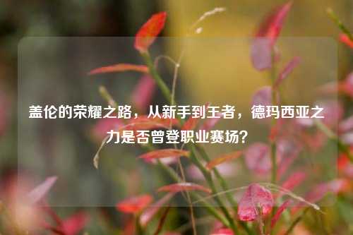 盖伦的荣耀之路,从新手到王者,德玛西亚之力是否曾登职业赛场?