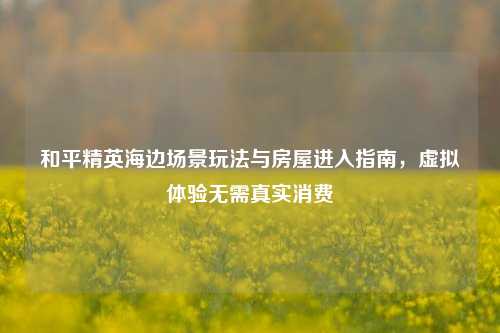 和平精英海边场景玩法与房屋进入指南，虚拟体验无需真实消费