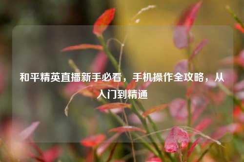 和平精英直播新手必看,手机操作全攻略,从入门到精通