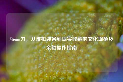 Steam刀，从虚拟装备到现实收藏的文化现象及余额操作指南