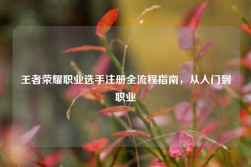 王者荣耀职业选手注册全流程指南，从入门到职业