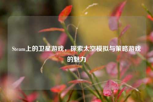 Steam上的卫星游戏,探索太空模拟与策略游戏的魅力