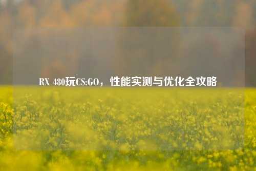 RX 480玩CS:GO，性能实测与优化全攻略