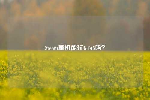 Steam掌机能玩GTA5吗?
