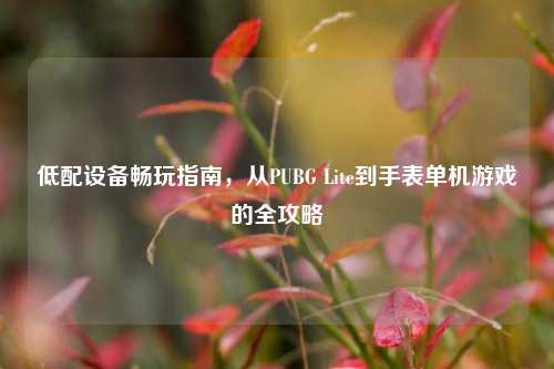 低配设备畅玩指南，从PUBG Lite到手表单机游戏的全攻略