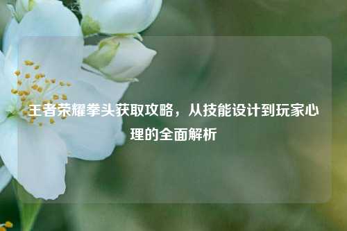 王者荣耀拳头获取攻略,从技能设计到玩家心理的全面解析